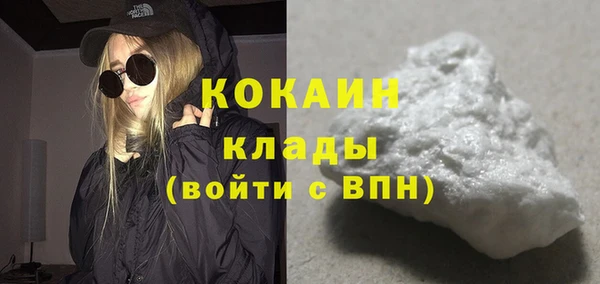 твердый Богданович