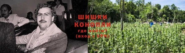 твердый Богданович