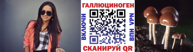 маркетплейс клад  Козельск  Псилоцибиновые грибы мицелий  даркнет сайт 